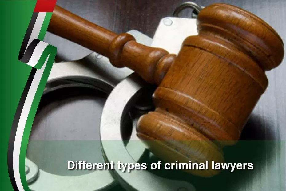 different types of criminal lawyers
