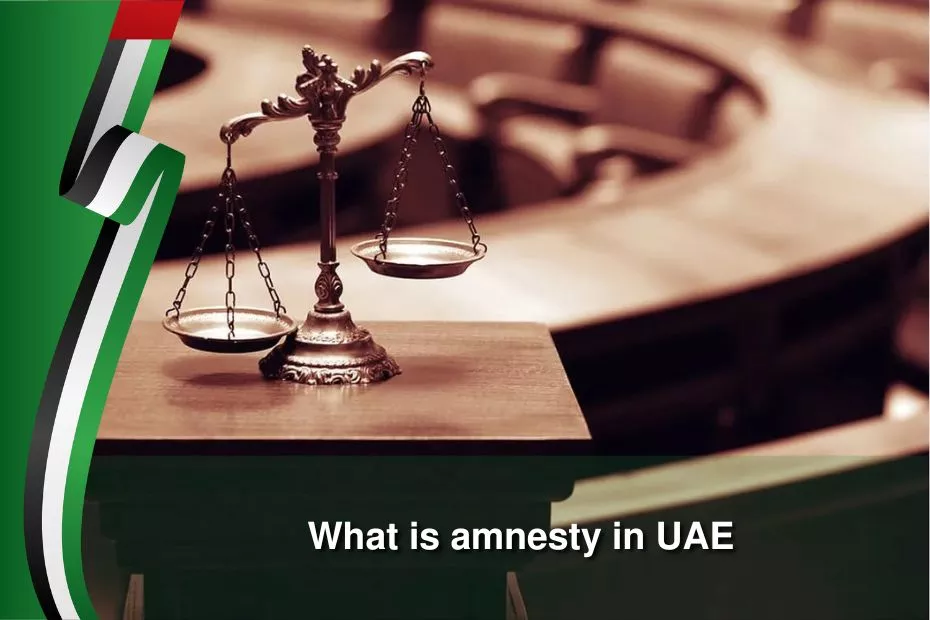 what is amnesty in uae